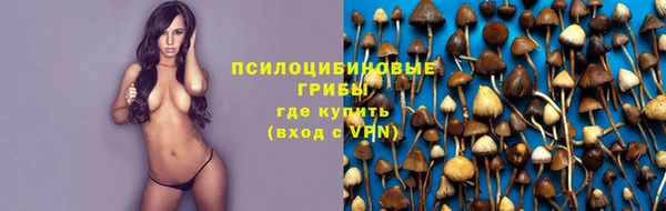 Альфа ПВП Богородск