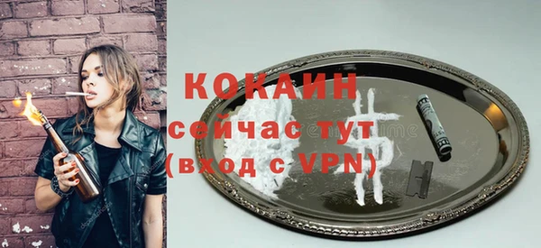 Альфа ПВП Богородск