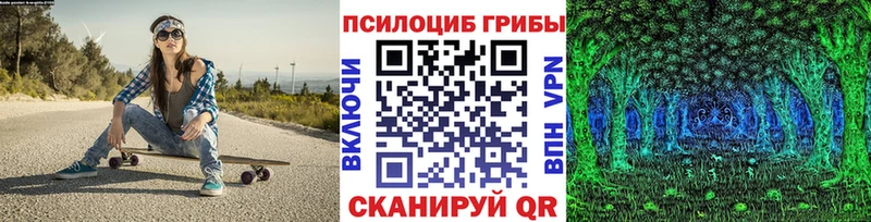 Галлюциногенные грибы мицелий  Купить  Зубцов 